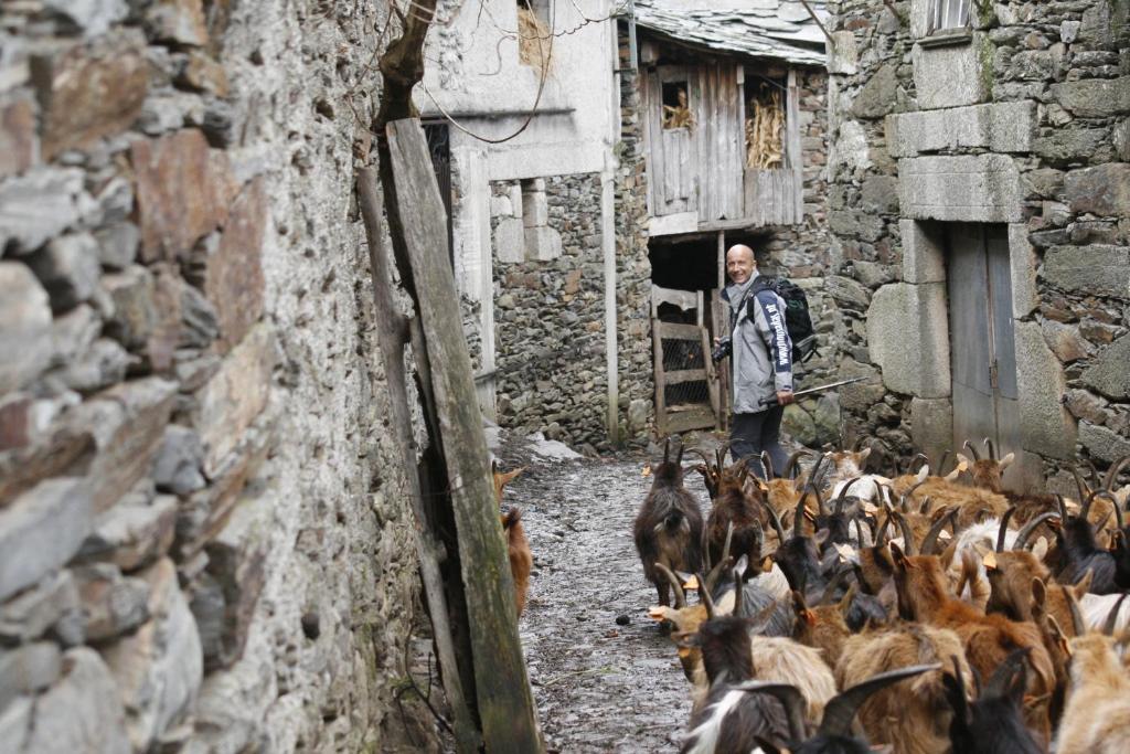 Hotel Quinta Dos 4 Lagares Serrazes Zewnętrze zdjęcie